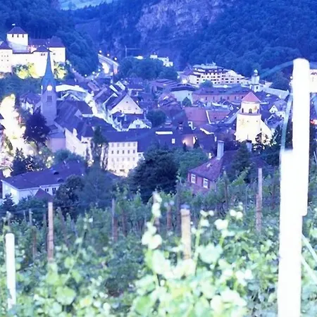 Hotel Loewen 4*